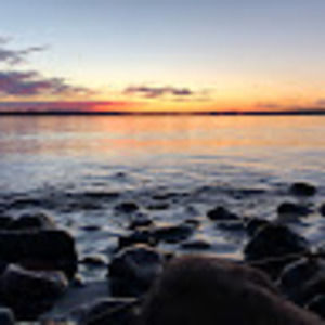 Meet your Posher, Ava